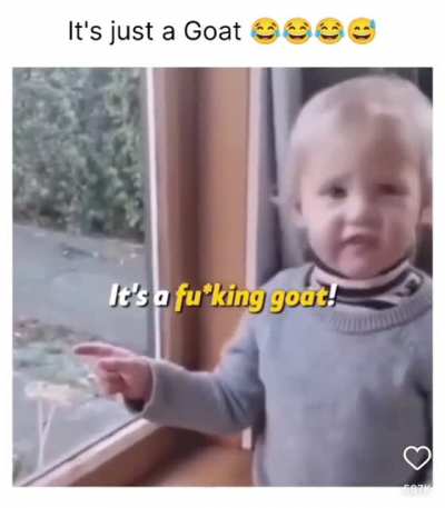 Thanks, I Love Swearing Baby