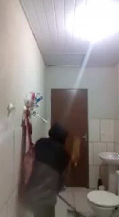 Trying to catch a mouse