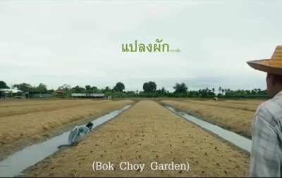 Thai ad writers are genius.