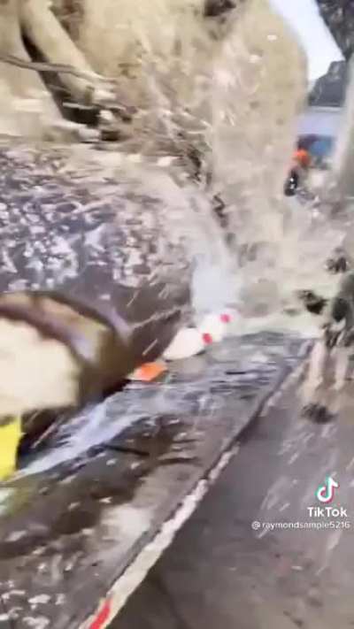 When No Nut November comes to an end