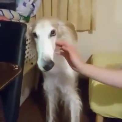 Nose as a vacuum cleaner 😁