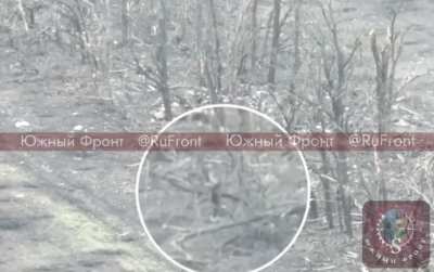 RU POV: A Russian soldier slaps a UA FPV drone out of the air with a stick.