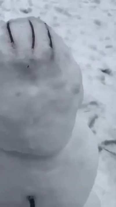 snowman's cold drip