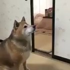 Нет терпежу! Есть хочу!