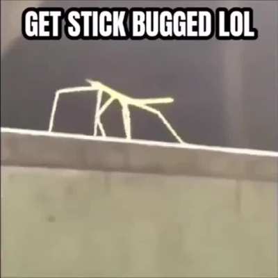 me_irl