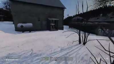 Bear Scare