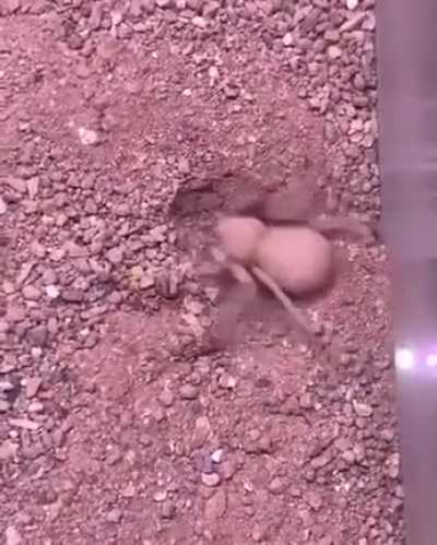 hmm