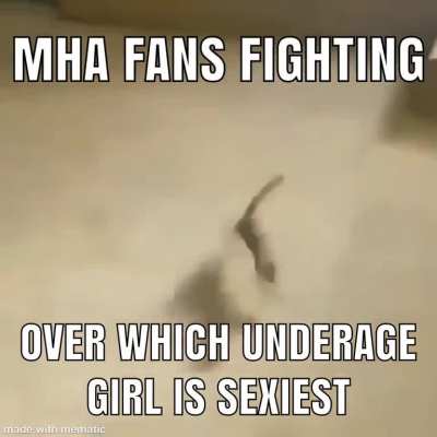 mha fans