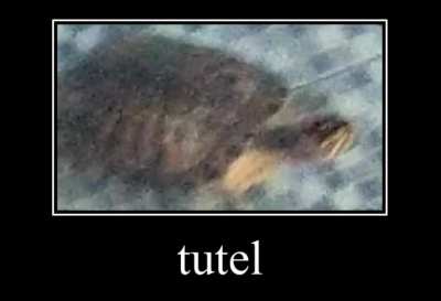 tutel