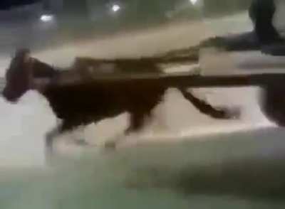 maximum horsepower