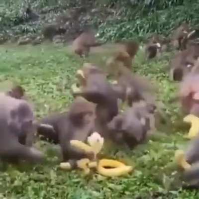Live footage of 