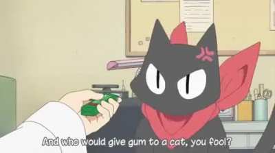 Sakamoto the cat [Nichijou]