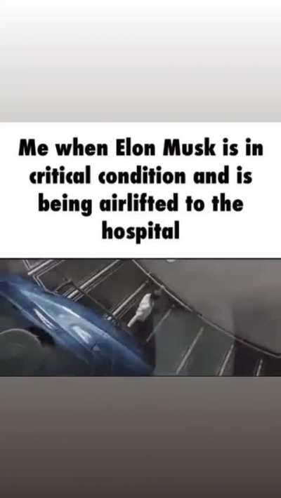 Elon 