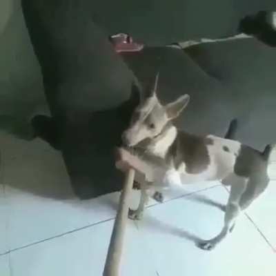 Quando o culpado é mais forte que o acusador:
