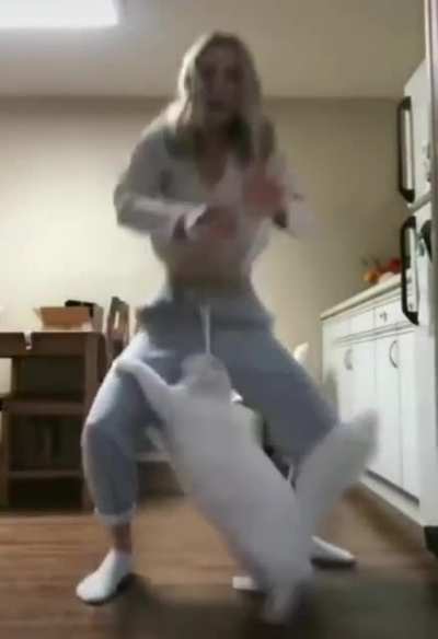 Hit Cat takes out target