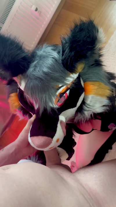 Who is trying this foxy maw next? ;) [Foxg<wbr>irl_N<wbr>ova][<wbr>M&amp<wbr>;F]