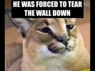 KKomrade