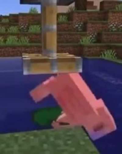 WTF?