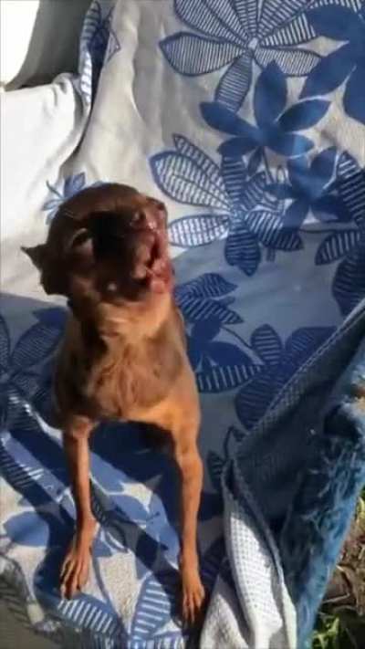 So fierce