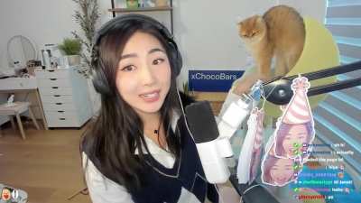 Two cuties in one stream, Janet and her cat ♥️
