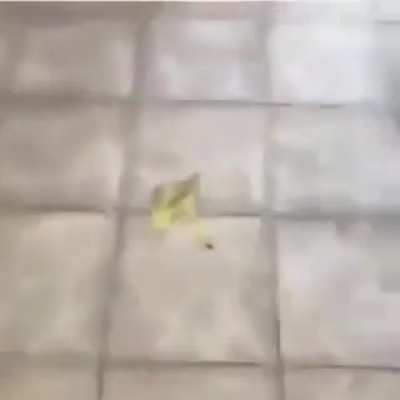 WAAA