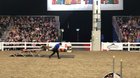 Holding on for dear life