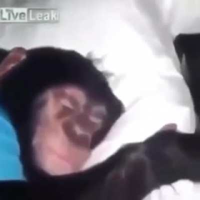 Wakey wakey