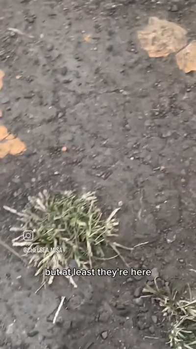 Parking lot review (2)