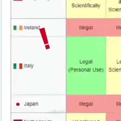 Italy is wild