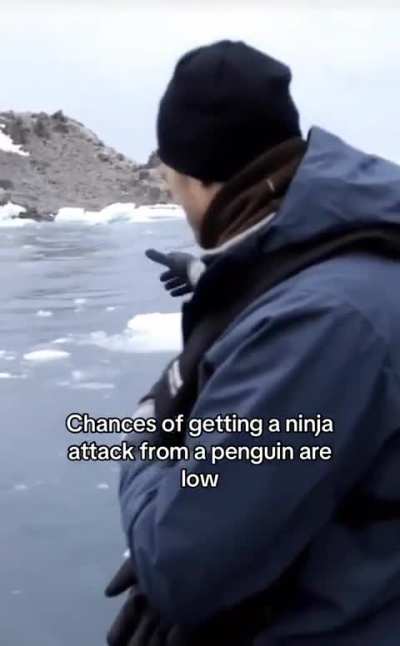 I know Kowalski when I see him
  