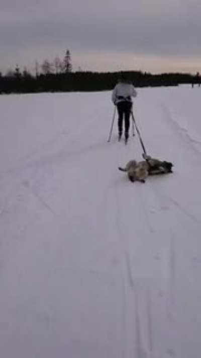 Look, I'm sliding!