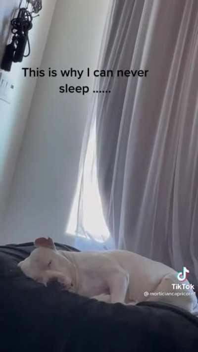 Ruff time sleeping