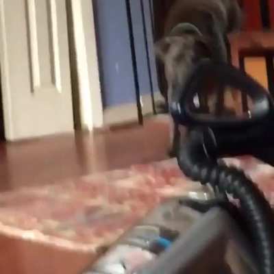 To contain a dog.