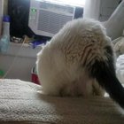 It sounds like she didn't stick that landing.