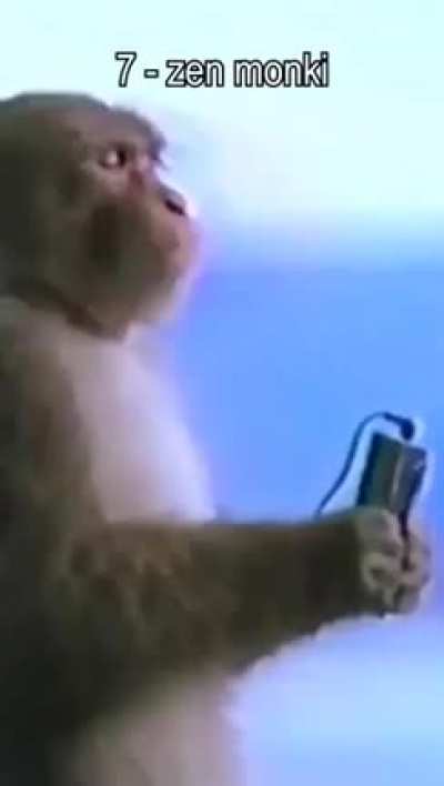 Monke