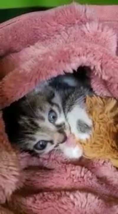 Let me sleep