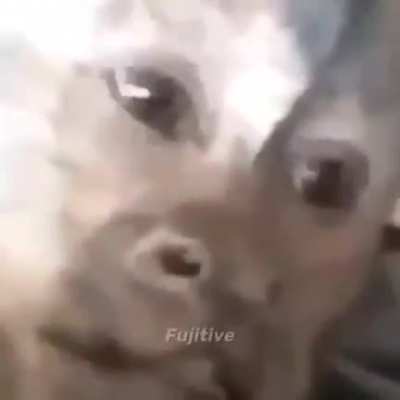 yes