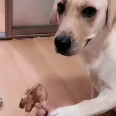 bad human