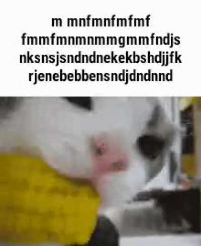 Regel