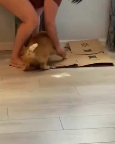 Учительница