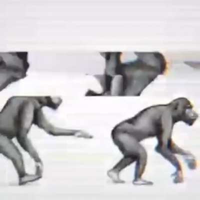 evolution