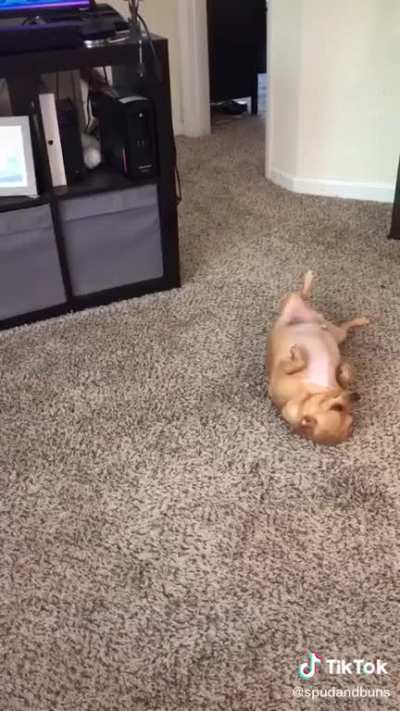Happy Friday!