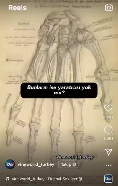 bak karsesim simdi at sekeri caya