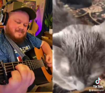 When a friend asks you to help them write a song for their cat, how can you say no? Haha