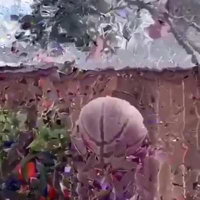 La simulación está fallando