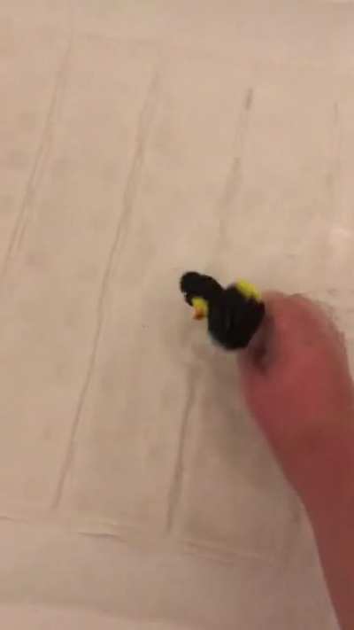 Thanks I hate rubber ducky that can’t float