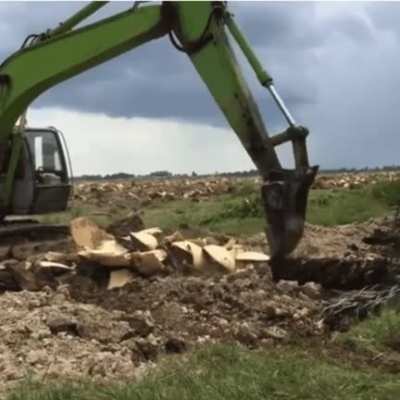 Excavator blade attachment for 'mulching' trees.