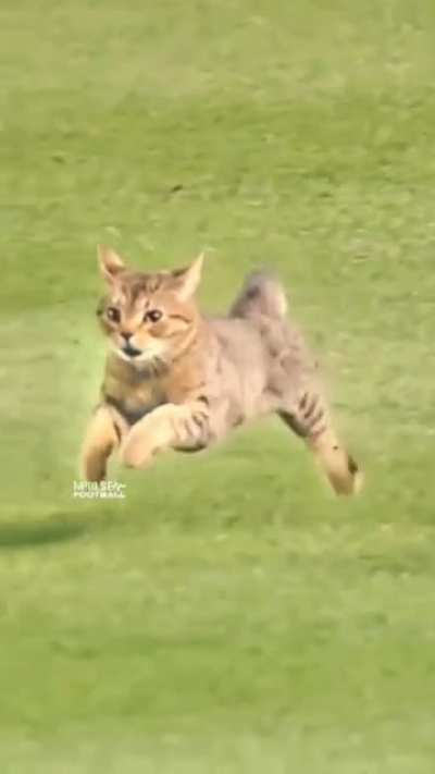Perfectly captured