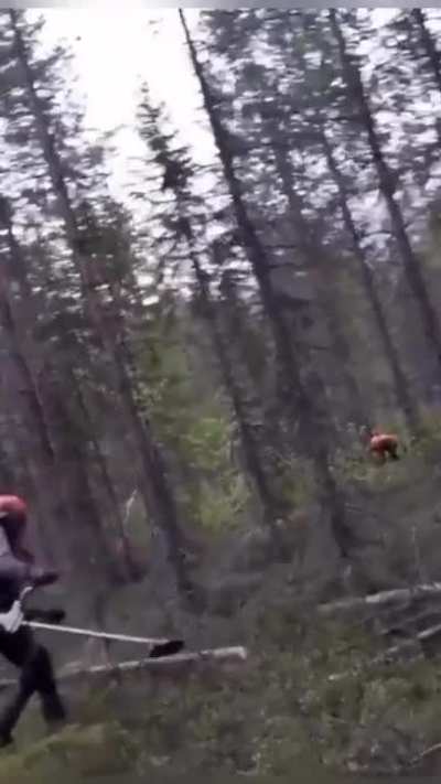 Maybe maybe maybe