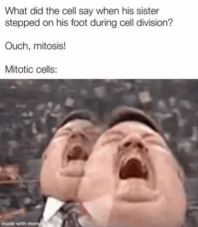 it hurts to lack humor